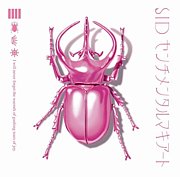 �������󥿥�ޥ�������[SID]