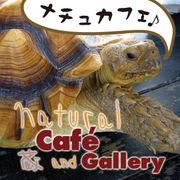 Natural Cafe and Gallery