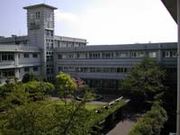 �Ⲭ�⹻ ������