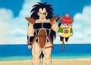 RADITZ