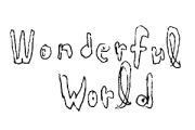 wonderful  world