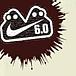 NIKE 6.0