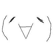 ����(���ϡ�)