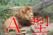 AǻҺ¤ʿͤβ