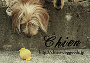 Friend of Chien