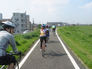 ☆江戸川サイクリングロード☆