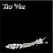 Tiny Wing