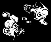 STAY GOLD -double dutch-