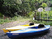 ��̣��������