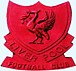 Liverpool FC　★大人の女子部★