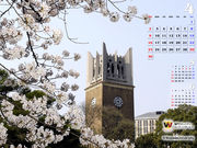 �գӣ������