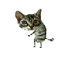 ¡