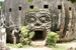 �饪����Buddha Park