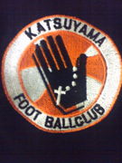 ͦ���繥�������