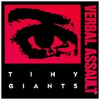 VERBAL ASSAULT