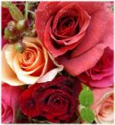 ����󥸿�♡��♡