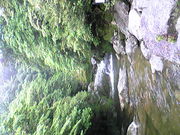 ����� �ϣ� �ϥ�