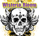 Wisteria Bloom