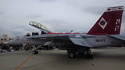 F/A-18E/F ѡۡͥå