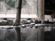 Nihon温泉クラブ