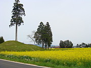 ʿ����ǯ�������Ĥä�����