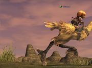 Garuda