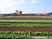 東洋学園大学卒業生２０１１〜