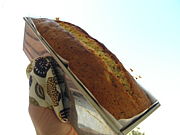 ������mm�ߣ���mm�ߣ�������