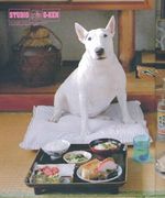 ��WE♡OUCH!! CLOTHING��