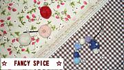 ����FANCY��SPICE����