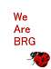 We Are BRG