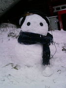 ���ζʤ˴��������