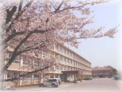 �Ļ��⣲�����������ݣ�