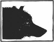 ����ϵ��ưʪ�ꤤ��