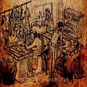 Anal Flesh