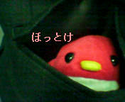 �٤߻��֤ϰ�ͤˤ��Ƥ���