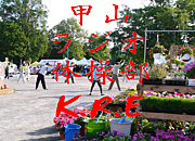 �û����饸��������