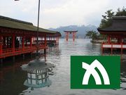 ����Ͳ񡡹������