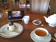 CodeG(Club OutDoor EroGamer)