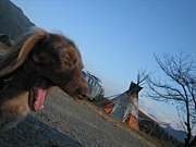 �쳤�϶襭����������������