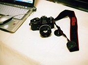 �̿����Ǥ�����