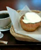 ���Ͳ������ľ¡�