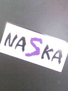NASKA�ʥʥ����˲���
