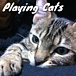 Playing Cats