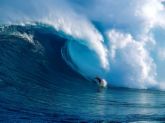 surfingȾin