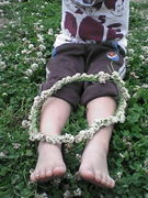 ��OLD��STYLE��