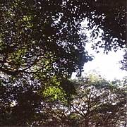 ̴�¤������