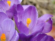 ���դ���ݰ��