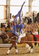 �ھ�_Vaulting