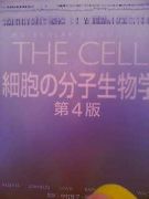 We love THE CELL(@o@) in 